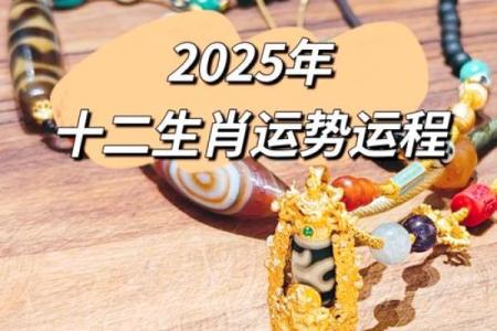 02的马2025的运势_02年属马人2025年全年运势详解关键月份运程指引