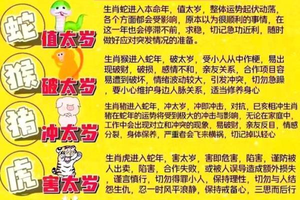 1991属羊人2025年全年运势详解_1991属羊人2025年运势详解全年运程大揭秘 1991属羊人2025年全年运势详解_1991属羊人2025年运势详解全年运程大揭秘