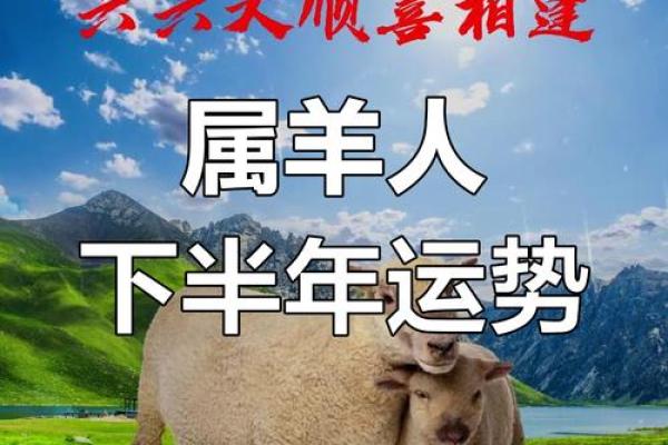 1991属羊男2025年运势详解全年运程大揭秘 1991属羊男2025年运势详解全年运程大揭秘