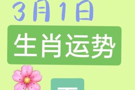 今天属羊的运势和财运 今日属羊运势财运大揭秘好运连连财源滚滚