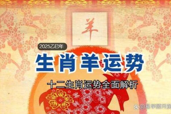 属羊2025年财运怎么样_属羊2025年运势及运程详解 属羊2025年财运怎么样_属羊2025年运势及运程详解