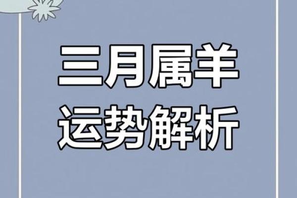 属羊今日运势每日运程_属羊今日运势解析每日运程大揭秘 属羊今日运势每日运程_属羊今日运势解析每日运程大揭秘