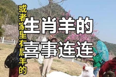 2025年属羊运程_2025年属羊运程详解运势大揭秘与全年运势预测