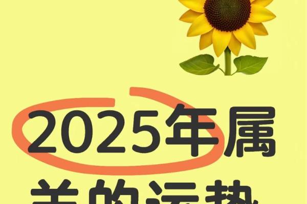 2025属羊男的全年运势如何_2025年属羊男全年运势详解事业财运感情全解析 2025属羊男的全年运势如何_2025年属羊男全年运势详解事业财运感情全解析