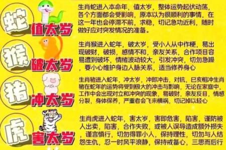 2025年79年属羊人全年运势详解及运势提升指南