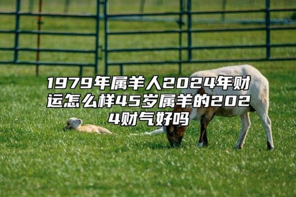 1979年属羊男人2025年运势及运程_79年属羊男2024年运势 1979年属羊男人2025年运势及运程_79年属羊男2024年运势