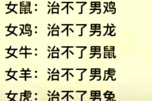 92猴男和96鼠女姻缘_92猴男和96鼠女姻缘五行 92猴男和96鼠女姻缘_92猴男和96鼠女姻缘五行