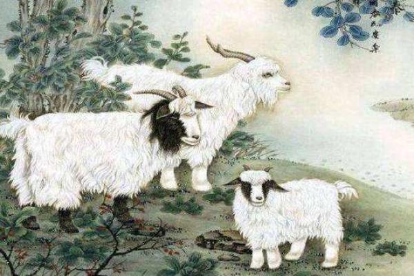 2003年是属羊吗_2003年羊属于什么命的羊