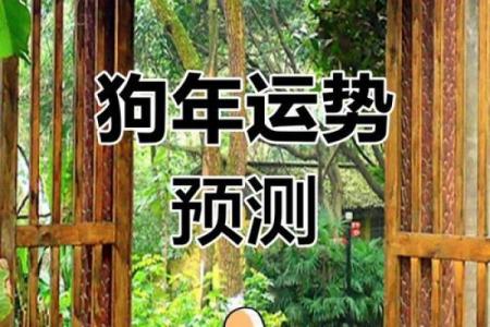 2025年属狗运势详解财运事业感情全解析