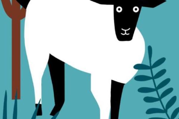 1967年属羊人2025年运程 1967年属羊人2025年运程详解运势走向与关键转折点