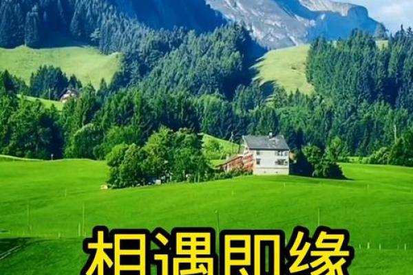 相识即是缘分下一句话_相识即是缘起