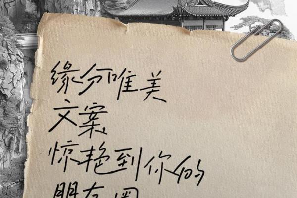 缘分重是什么意思_缘分重的真正含义揭秘命运中的深厚联系