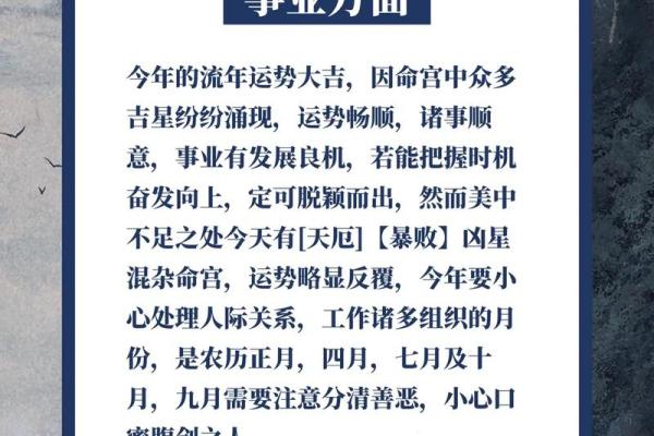 2025年属猪的人运势_2025年属猪的人运势如何 2025年属猪的人运势_2025年属猪的人运势如何