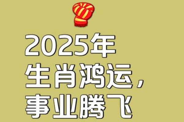 2025年属猪人运势大爆发财运事业双丰收 2025年属猪人运势大爆发财运事业双丰收