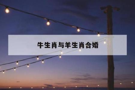 属牛和属羊的相配吗生肖配对解析与婚姻建议