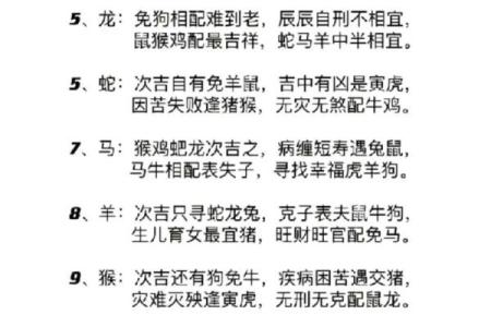 属猪男最佳婚配表揭秘最合适的生肖配对