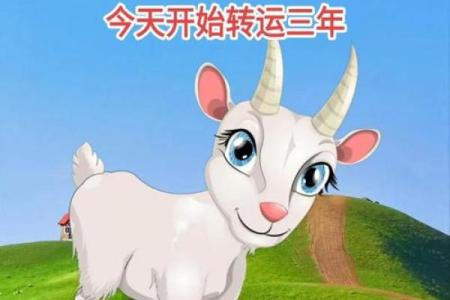 今日属羊的运势和财运 属羊的人今天偏财运