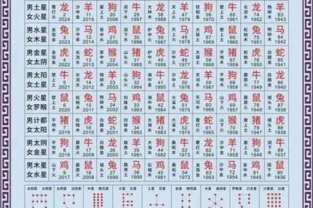 2025年4月3日午时女命紫微斗数全解盘