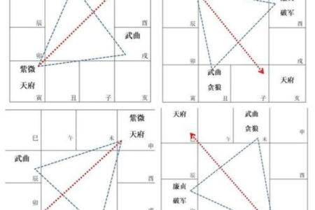 2025年4月2日戌时女命紫微斗数全解盘