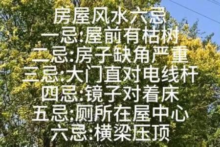 房子不住还用讲究风水吗