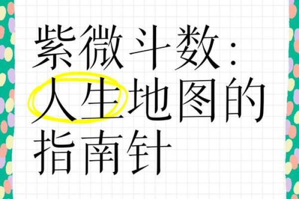 紫薇斗数测算人生 紫薇斗数测算人生