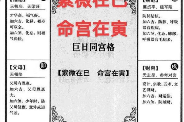 紫薇斗数干什么用的 紫薇斗数干什么用的