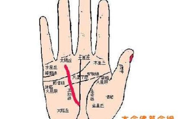 算命对脉搏有什么要求嘛 算命对脉搏有什么要求嘛