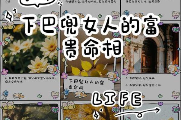 算命命中有几个子女 子女运跟下巴饱满有关 算命命中有几个子女 子女运跟下巴饱满有关