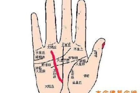 算命对脉搏有什么要求嘛