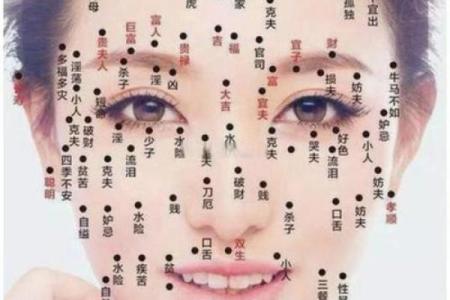 算命命中有几个子女 子女运跟下巴饱满有关
