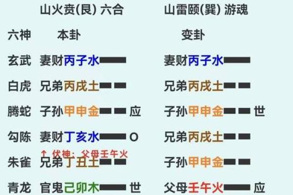 抽签算命占卜每日一占,六爻龟壳每日一卦