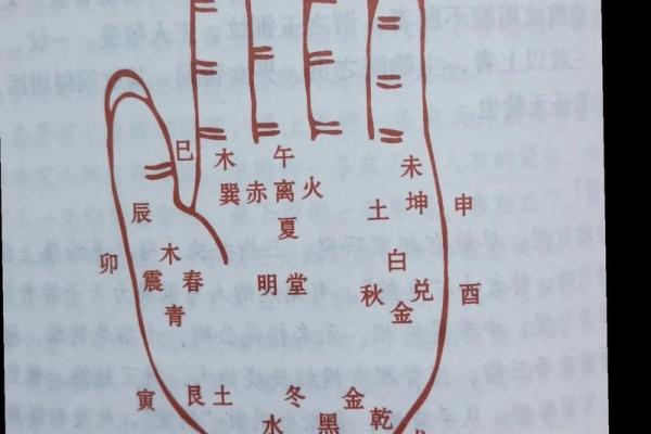 看手相算命图解：手