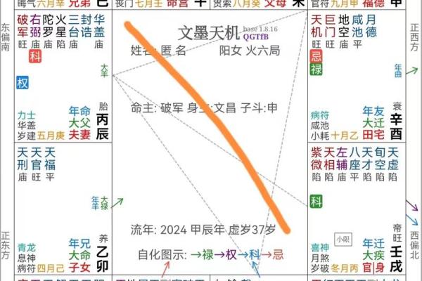 紫薇斗数工作怎么看