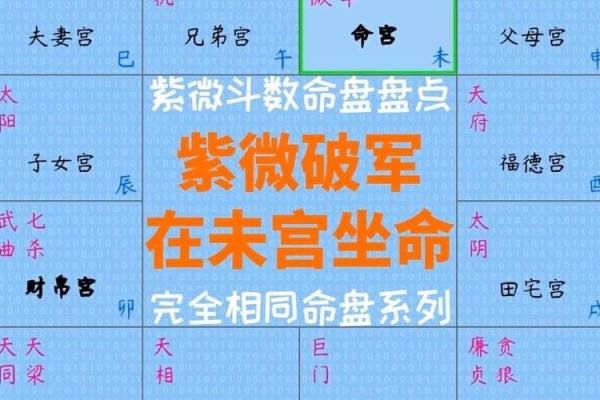 紫微斗数114种命盘