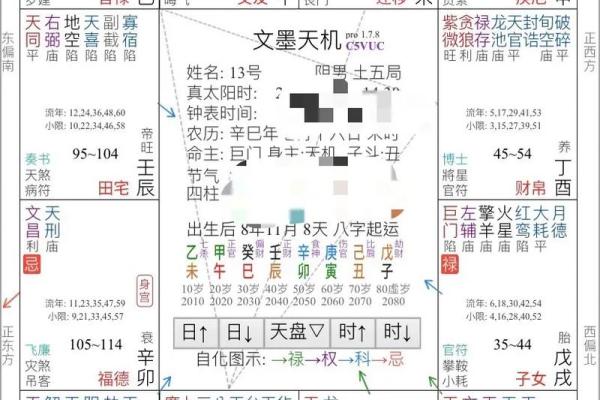 上海学紫薇斗数