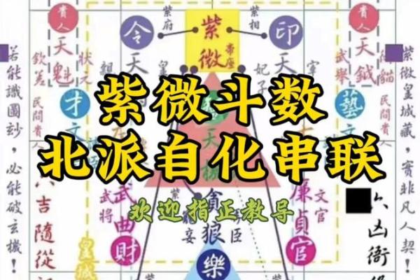 紫薇斗数生年自化