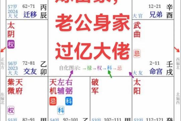 倪海厦紫薇斗数化忌结婚