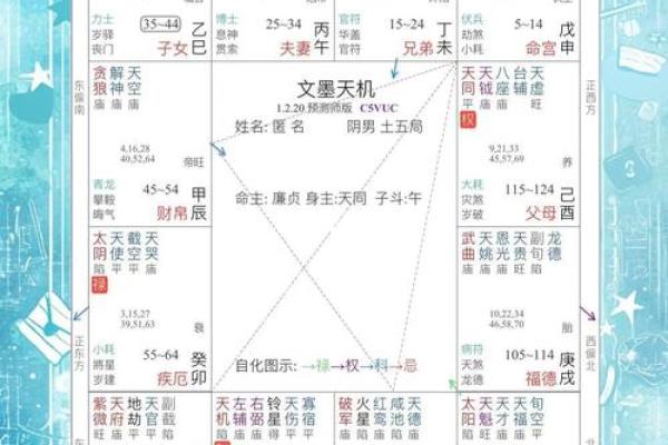 紫薇斗数地劫星