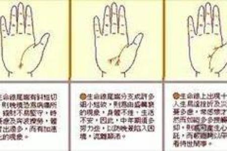 图解：手相手腕线算命
