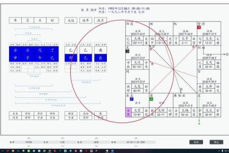 八字排盘软件开发