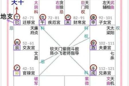 揭露紫微斗数 紫微斗数介绍？