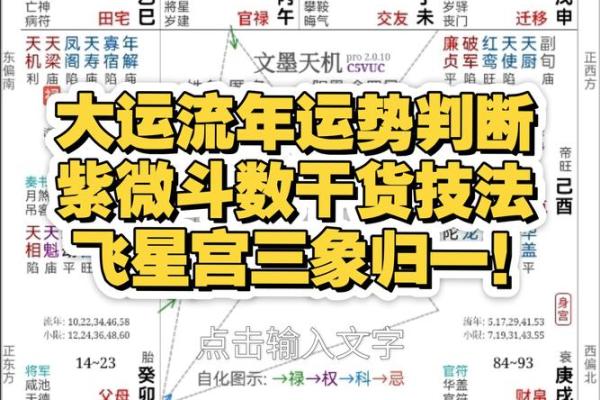 中国传统星象术紫薇斗数 中国传统星象术紫薇斗数