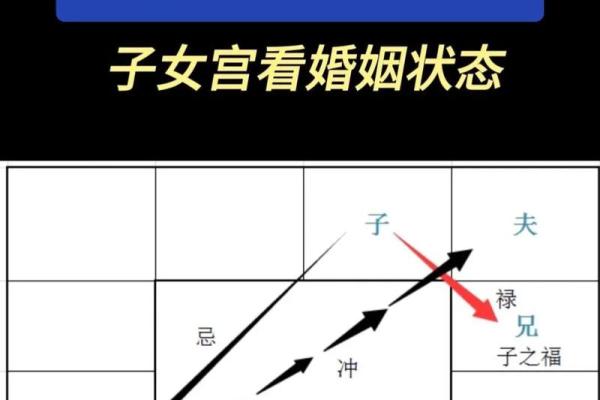 紫薇斗数夏令时 紫薇斗数夏令时
