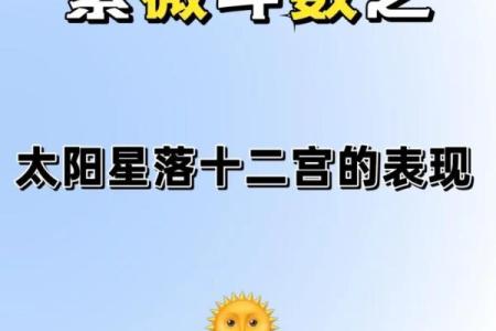 紫微斗数主强宾若 紫微斗数强宫？