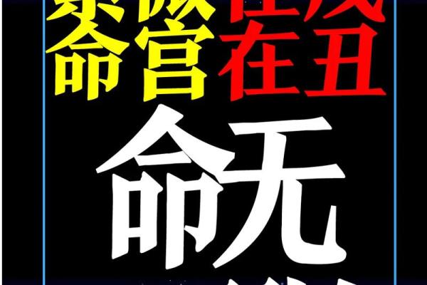 紫微斗数终极 紫微斗数解释？