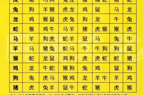 网上算命危险,网上算命安全吗