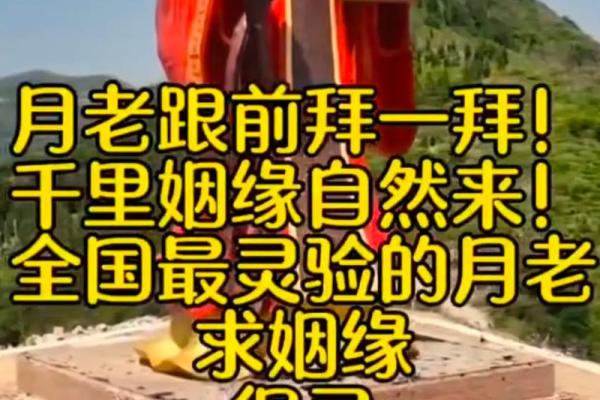 月老灵签46