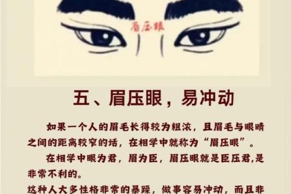 六害眉面相算命图解 六害眉面相算命图解