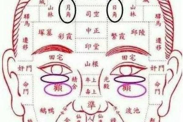六害眉面相算命图解 六害眉面相算命图解