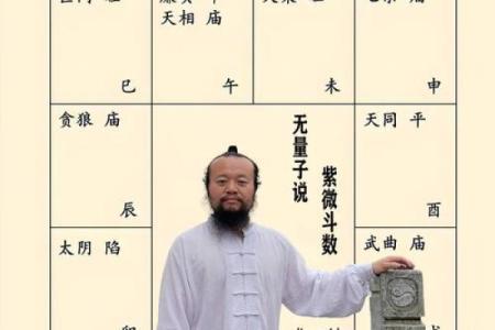 紫微斗数终极 紫微斗数解释？